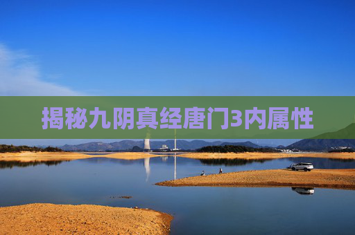 揭秘九阴真经唐门3内属性 揭秘九阴真经唐门3内属性