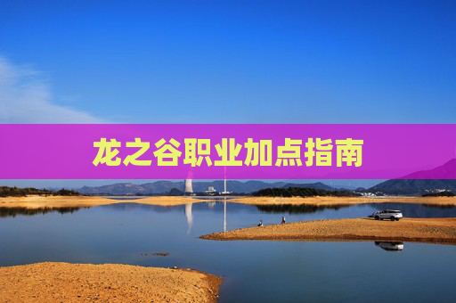 龙之谷职业加点指南