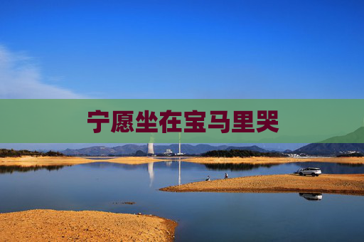 宁愿坐在宝马里哭 宁愿坐在宝马里哭