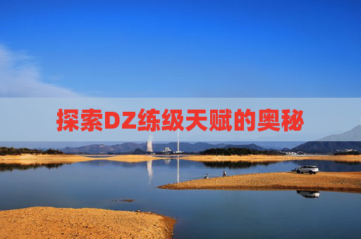 探索DZ练级天赋的奥秘 探索DZ练级天赋的奥秘