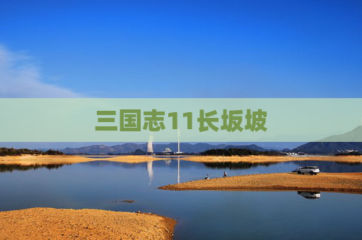 三国志11长坂坡