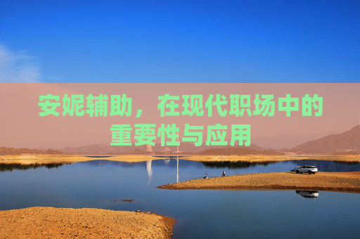 安妮辅助，在现代职场中的重要性与应用