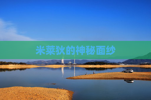 米莱狄的神秘面纱 米莱狄的神秘面纱