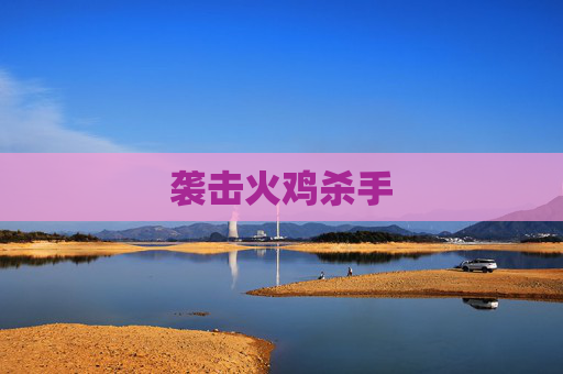 袭击火鸡杀手 袭击火鸡杀手