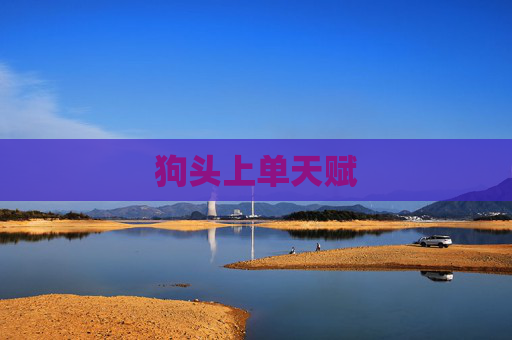 狗头上单天赋