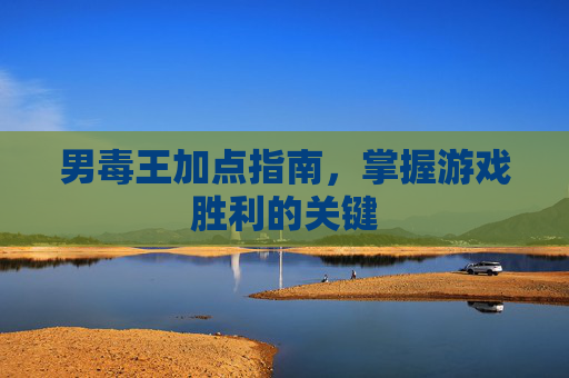 男毒王加点指南，掌握游戏胜利的关键
