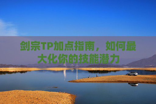 剑宗TP加点指南,如何最大化你的技能潜力 剑宗TP加点指南,如何最大化你的技能潜力