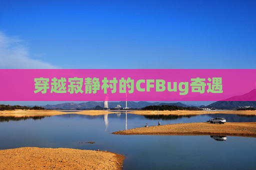穿越寂静村的CFBug奇遇 穿越寂静村的CFBug奇遇