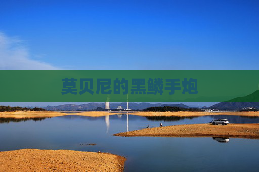 莫贝尼的黑鳞手炮 莫贝尼的黑鳞手炮