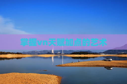 掌握vn天赋加点的艺术