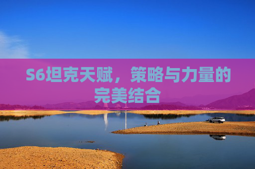 S6坦克天赋,策略与力量的完美结合 S6坦克天赋,策略与力量的完美结合
