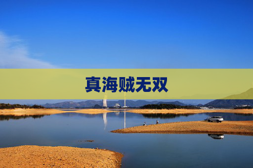 真海贼无双