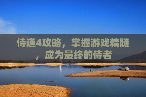 侍道4攻略，掌握游戏精髓，成为最终的侍者