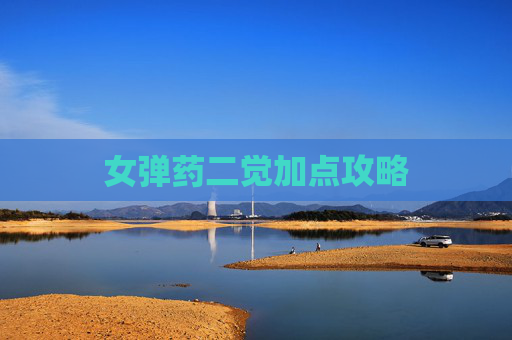 女弹药二觉加点攻略