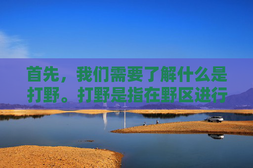 首先,我们需要了解什么是打野。打野是指在野区进行活动,帮助队友获取经验和资源,同时为团队创造优势的选手。打野的位置通常位于地图的边缘,远离主战场,因此需要具备较高的视野控制能力和快速的支援能力 首先,我们需要了解什么是打野。打野是指在野区进行活动,帮助队友获取经验和资源,同时为团队创造优势的选手。打野的位置通常位于地图的边缘,远离主战场,因此需要具备较高的视野控制能力和快速的支援能力