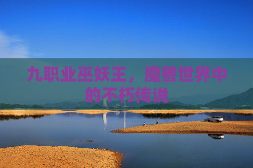 九职业巫妖王,魔兽世界中的不朽传说 九职业巫妖王,魔兽世界中的不朽传说