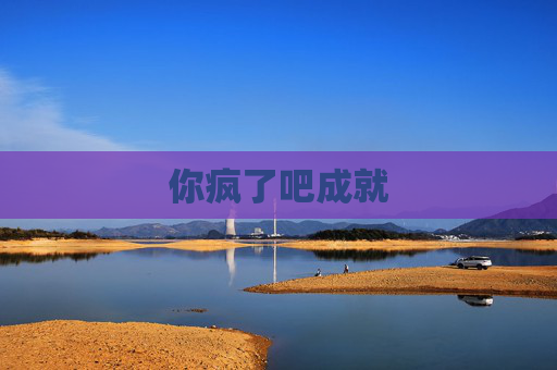 你疯了吧成就