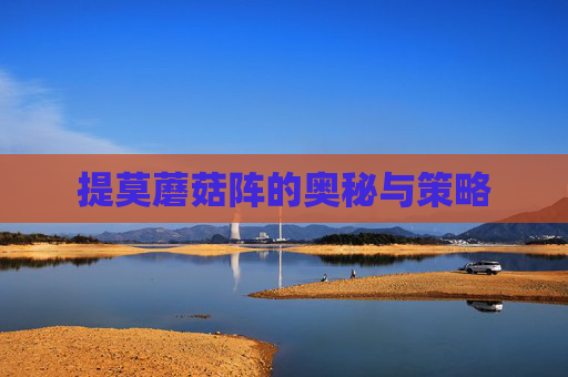 提莫蘑菇阵的奥秘与策略 提莫蘑菇阵的奥秘与策略