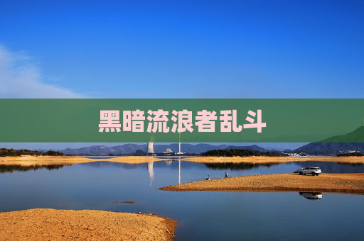 黑暗流浪者乱斗 黑暗流浪者乱斗