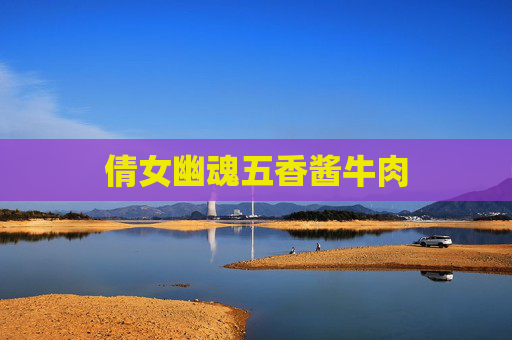 倩女幽魂五香酱牛肉 倩女幽魂五香酱牛肉