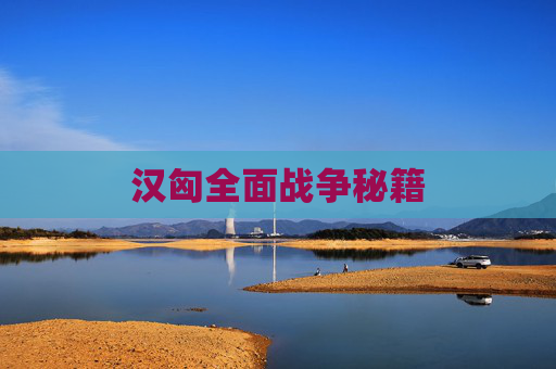 汉匈全面战争秘籍 汉匈全面战争秘籍