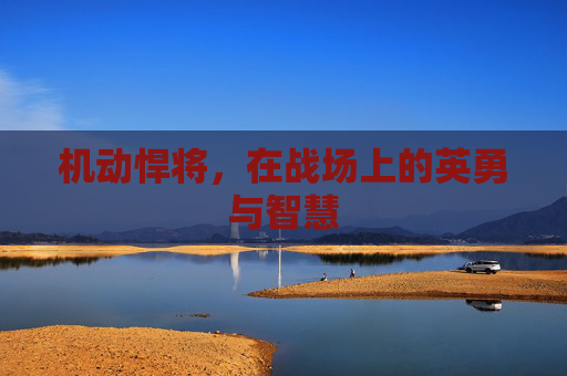 机动悍将,在战场上的英勇与智慧 机动悍将,在战场上的英勇与智慧