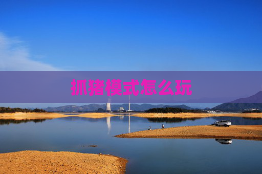 抓猪模式怎么玩 抓猪模式怎么玩