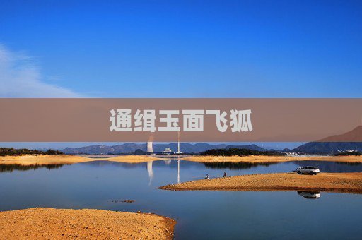 通缉玉面飞狐 通缉玉面飞狐