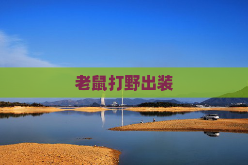 老鼠打野出装 老鼠打野出装