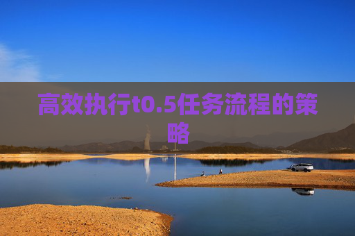 高效执行t0.5任务流程的策略 高效执行t0.5任务流程的策略