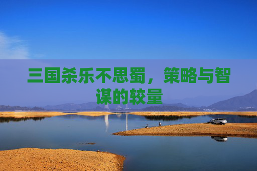 三国杀乐不思蜀,策略与智谋的较量 三国杀乐不思蜀,策略与智谋的较量