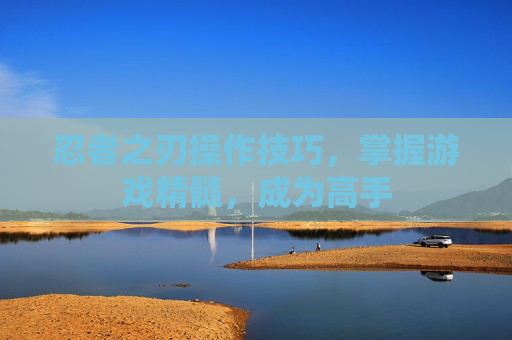 忍者之刃操作技巧，掌握游戏精髓，成为高手