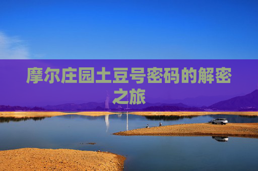 摩尔庄园土豆号密码的解密之旅
