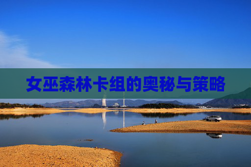 女巫森林卡组的奥秘与策略