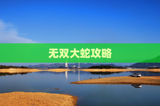 无双大蛇攻略 无双大蛇攻略