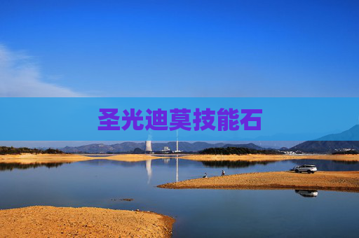 圣光迪莫技能石