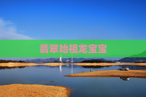 翡翠始祖龙宝宝 翡翠始祖龙宝宝
