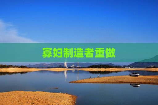 寡妇制造者重做 寡妇制造者重做