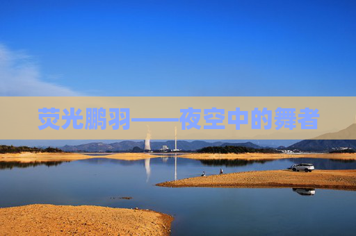 荧光鹏羽——夜空中的舞者 荧光鹏羽——夜空中的舞者