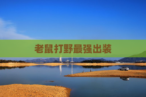 老鼠打野最强出装 老鼠打野最强出装