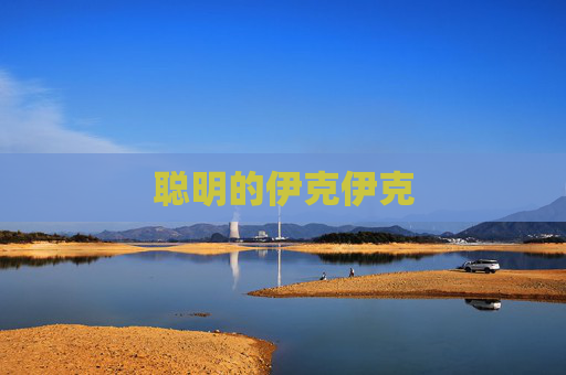 聪明的伊克伊克 聪明的伊克伊克