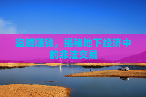 盗贼赚钱,揭秘地下经济中的非法交易 盗贼赚钱,揭秘地下经济中的非法交易