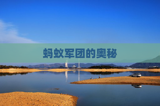 蚂蚁军团的奥秘