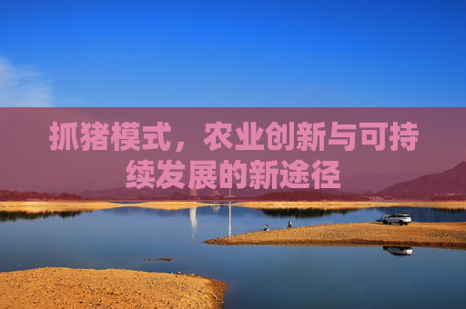 抓猪模式,农业创新与可持续发展的新途径 抓猪模式,农业创新与可持续发展的新途径