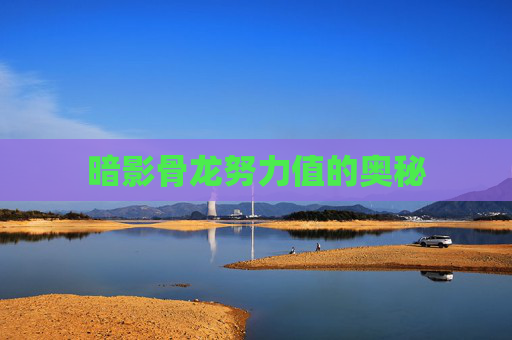 暗影骨龙努力值的奥秘 暗影骨龙努力值的奥秘