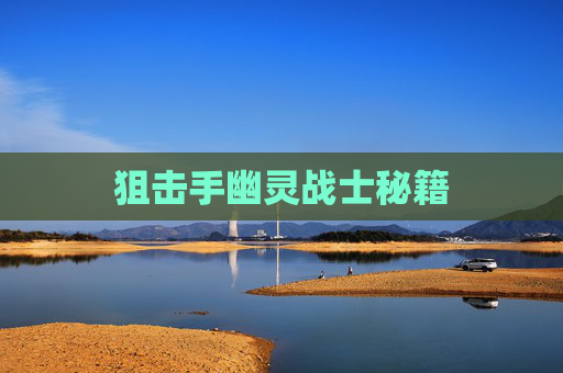 狙击手幽灵战士秘籍 狙击手幽灵战士秘籍