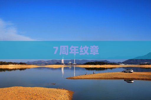 7周年纹章 7周年纹章