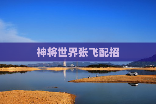 神将世界张飞配招 神将世界张飞配招