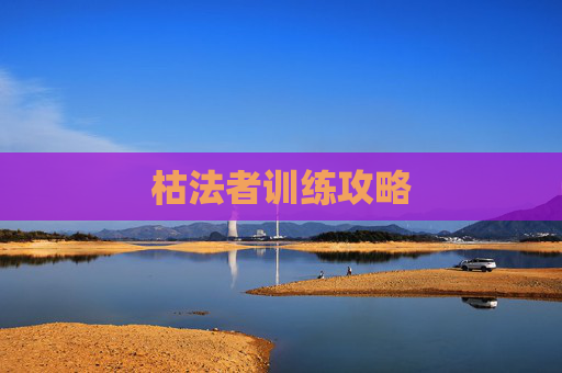 枯法者训练攻略
