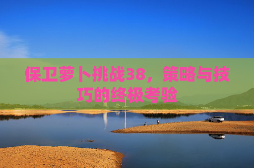 保卫萝卜挑战38,策略与技巧的终极考验 保卫萝卜挑战38,策略与技巧的终极考验